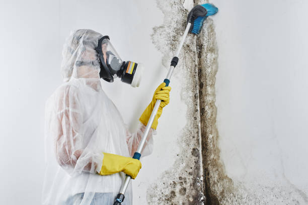 Best Mold Testing  in Moss Beach, CA