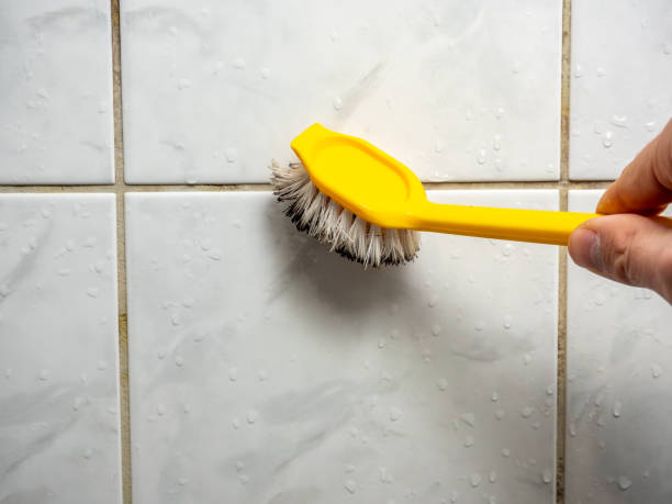 Best Emergency Mold Removal  in Moss Beach, CA
