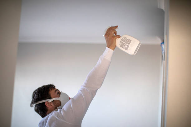 Best Best Mold Removal Companies  in Moss Beach, CA