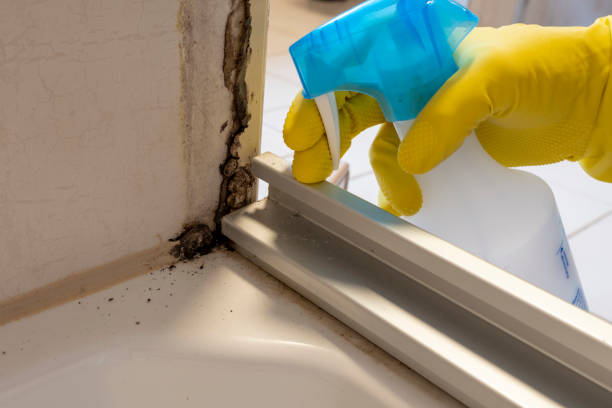 Best Mold Removal Near Me  in Moss Beach, CA