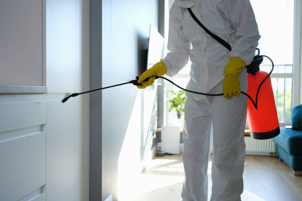 Best Affordable Mold Removal  in Moss Beach, CA