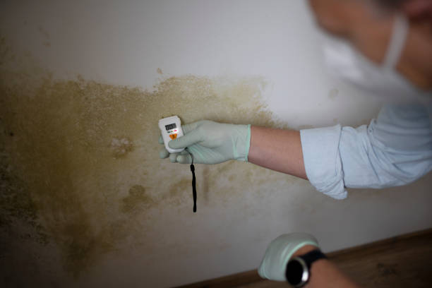 Best Crawl Space Mold Removal  in Moss Beach, CA