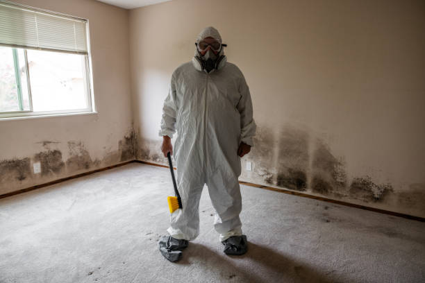 Best Crawl Space Mold Removal  in Moss Beach, CA